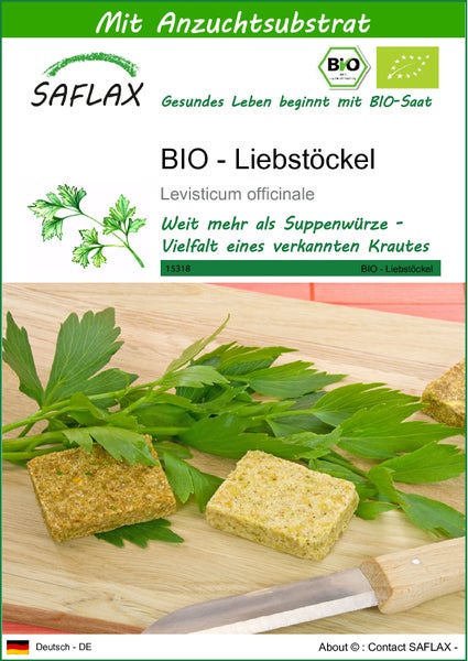 SAFLAX  - BIO - Liebstöckel - Levisticum officinale - 100 Samen - Mit keimfreiem Anzuchtsubstrat