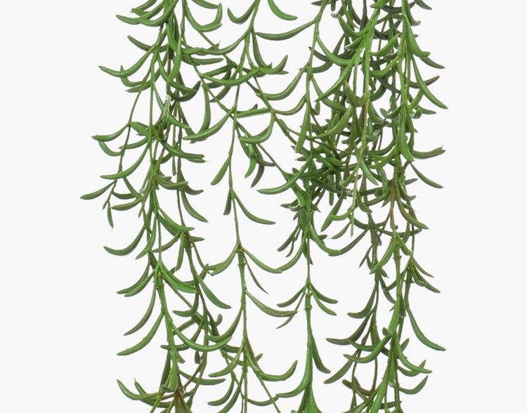 Künstliche Hängepflanze mit grünen, gebogenen Blättern, Senecio-Nachbildung aus Kunststoff.