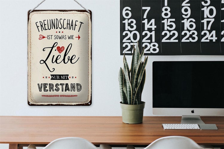 Blechschild Spruch 20x30cm Freundschaft ist sowas wie Liebe
