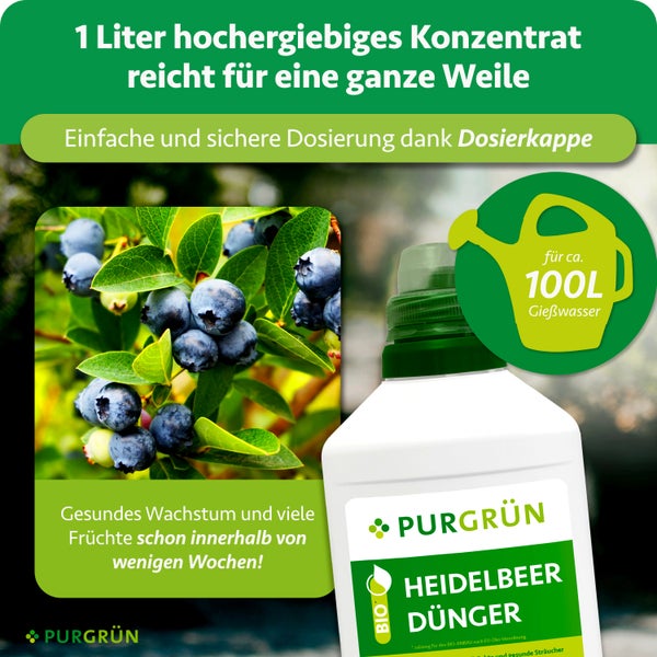 Purgrün Heidelbeerdünger Konzentrat 1 Liter für circa 100 Liter Gießwasser mit Dosierkappe für gesundes Wachstum und Ertrag. Purgrün Logo.