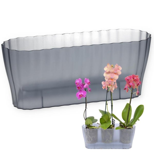 Orchideentopf Blumentopf Blumenkasten für Orchideen Übertopf mehrere Pflanzen durchsichtig Kunststoff rauchfarbig