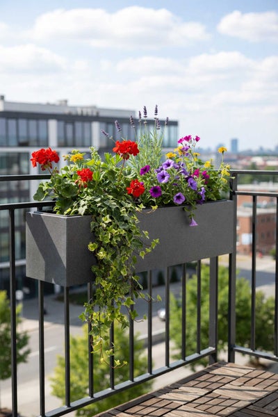 Rechteckiger Balkonkasten in Anthrazit mit bunten Blumen wie Geranien, Petunien und Efeu, montiert an einem schwarzen Balkongeländer.
