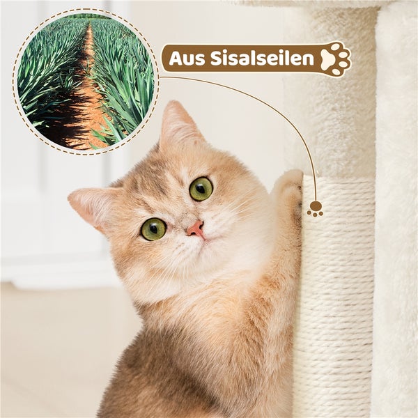 Katze an einem Kratzbaum aus Sisalseil