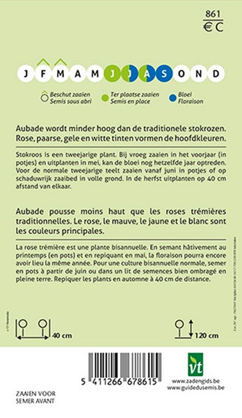 Informationen zur Aussaat und zum Pflanzen von Stockrosen