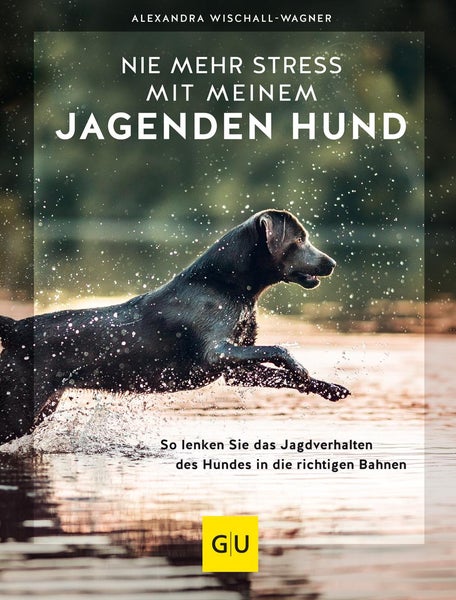 Nie mehr Stress mit meinem jagenden Hund So lenken Sie das Jagdverhalten des Hundes in die richtigen Bahnen