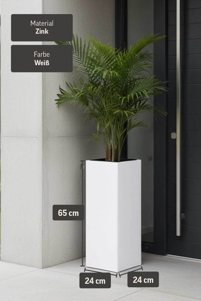 Hoher quadratischer Pflanzkübel aus weißem Zink, Maße 65 mal 24 mal 24 Zentimeter, bepflanzt mit einer Palme vor einem Hauseingang.