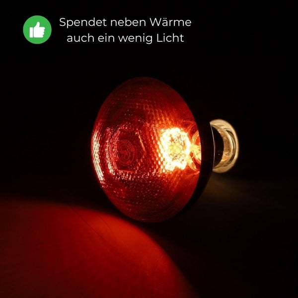 GarPet Rotlichtlampe Wärmelampe Tiere Gesicht Infrarotlampe 100 Watt Infrarot Lampe Terrarium Baby Geflügel Infrarotbirne