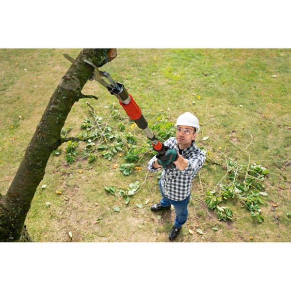 Irisblüte im Garten