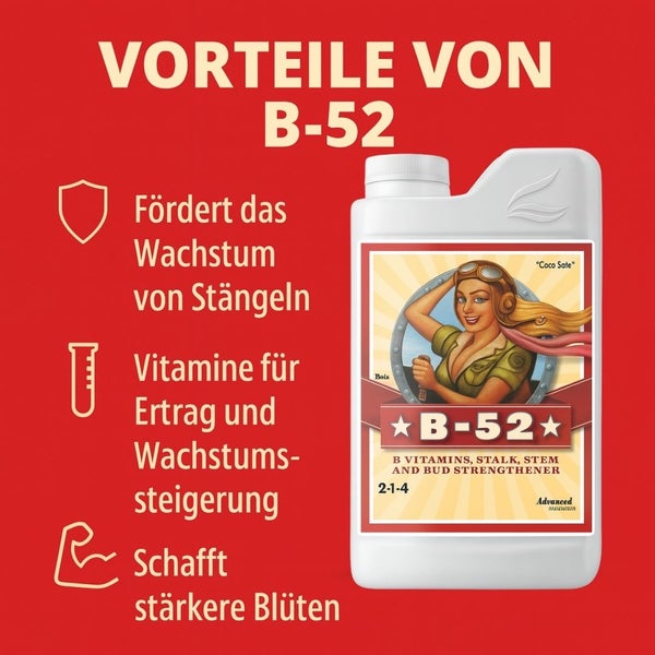 B-52 Nährstoffzusatz für Pflanzen