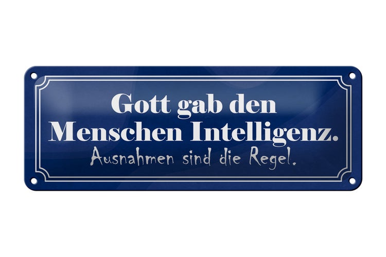 Blechschild Spruch 27x10cm Gott gab Menschen Intelligenz Dekoration