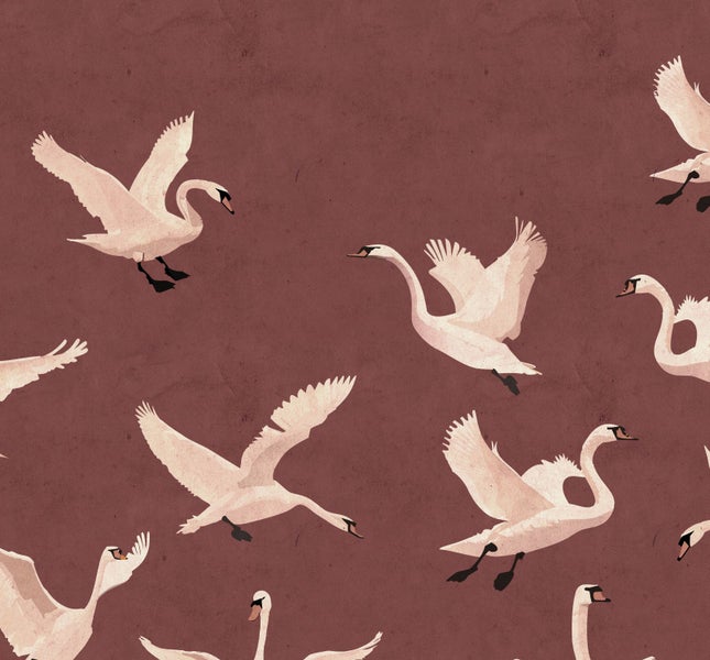 Illustration von fliegenden Schwänen