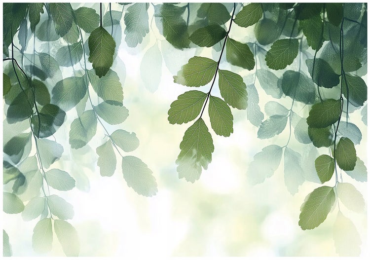 Fototapete Blätter Natur Grün Wohnzimmer Vlies Tapete 250x175 cm