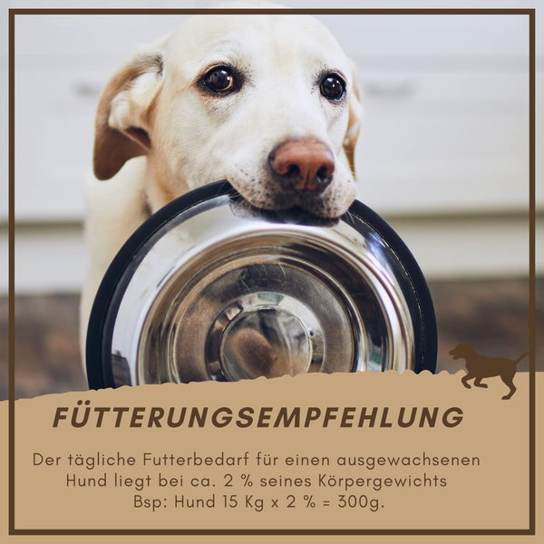 Hund mit Futternapf und Fütterungsempfehlung