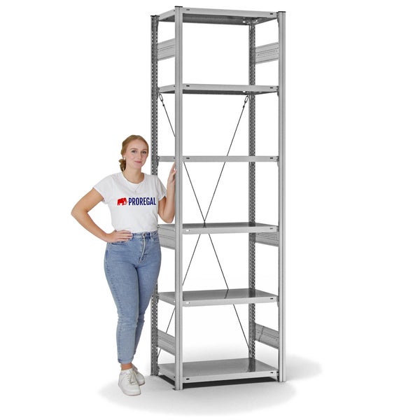 PROREGAL Fachbodenregal Stecksystem T-Profil Heavy-Duty Grundregal HxBxT 250 x 75 x 40 cm 6 Ebenen Fachlast 300 kg Einseitig Nutzbar Verzinkt