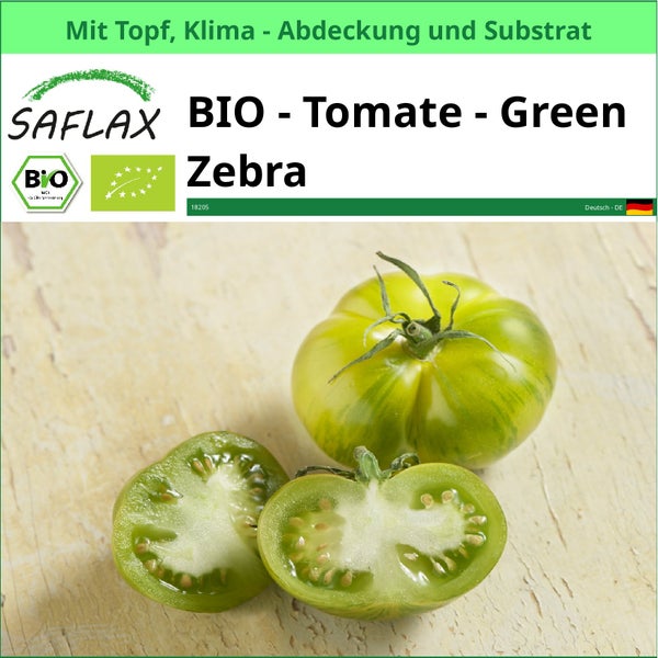 Bio Tomate Green Zebra von Saflax mit Topf, Klima Abdeckung und Substrat