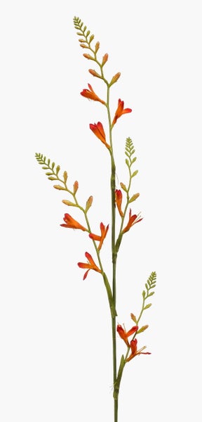 Künstlicher Montbretienzweig Crocosmia mit orangefarbenen Blüten und grünen Knospen.