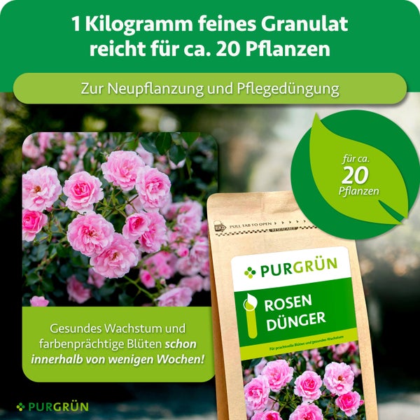 Eine Packung Purgrün Rosendünger als Granulat für etwa 20 Pflanzen zur Neupflanzung und Pflegedüngung für gesundes Wachstum und viele Blüten.