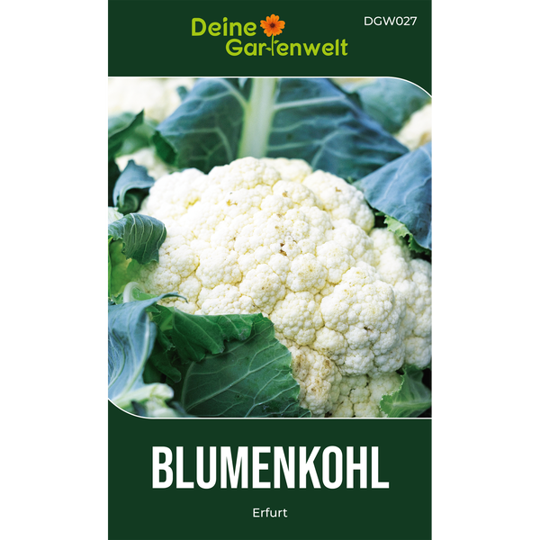 Deine Gartenwelt Logo, Samentüte für Blumenkohl der Sorte Erfurt mit Abbildung eines Blumenkohlkopfes.