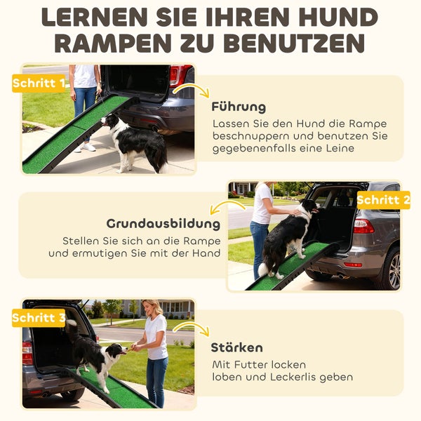 Infografik zur Anleitung für eine Hunderampe fürs Auto mit drei Schritten: Schnuppern lassen, Ermutigen und mit Leckerlis belohnen.