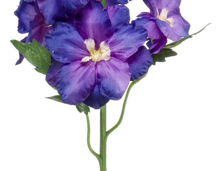 Nahaufnahme der gemusterten Blätter einer Begonia Rex Zimmerpflanze mit silbernen, grünen und purpurfarbenen Akzenten.