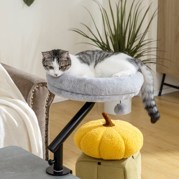 Katze ruht auf einem Katzenbaum mit einem runden, gepolsterten Bett und einer Kürbis-Dekoration.