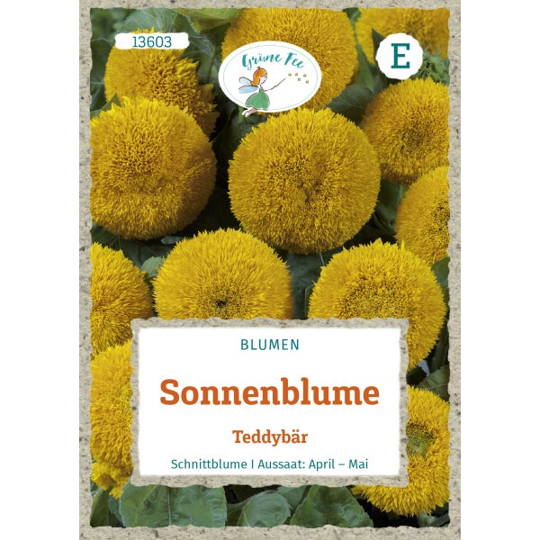 Sonnenblume Teddybär Samen von Grüne Fee