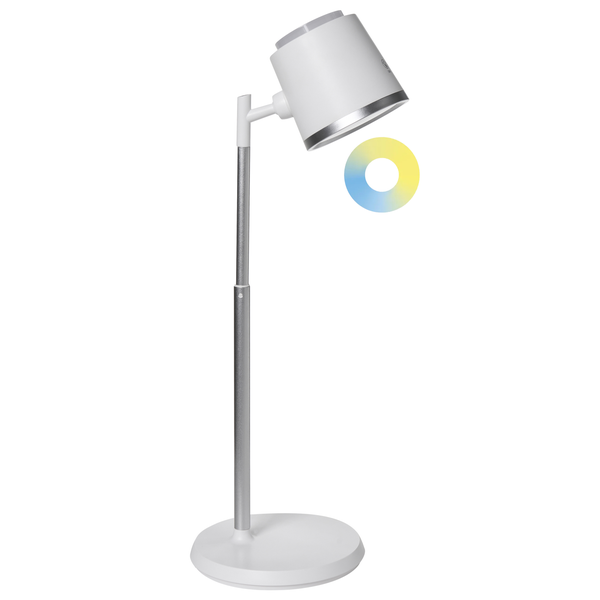 Stehlampe mit verstellbarem Lampenkopf und Metallgestell