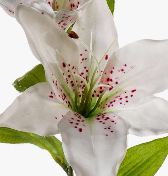 Grüne Lilienknospe einer Kunstblume aus Kunststoff.