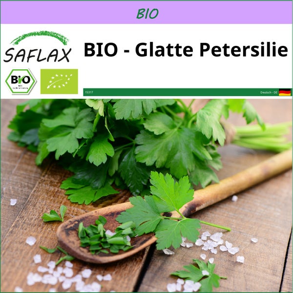 SAFLAX  - BIO - Glatte Petersilie - Petroselinum crispum - 600 Samen