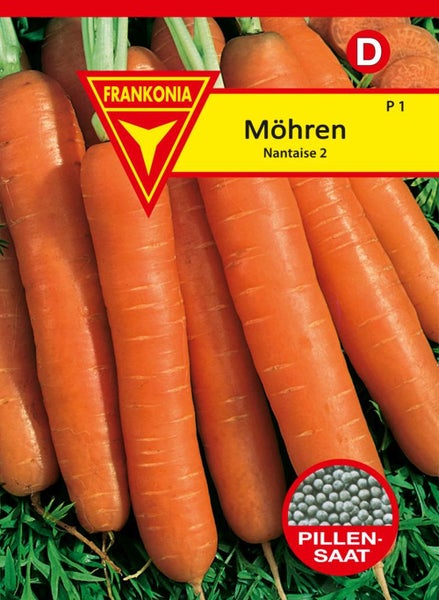 Möhren Nantaisesamen in einer Saatguttüte