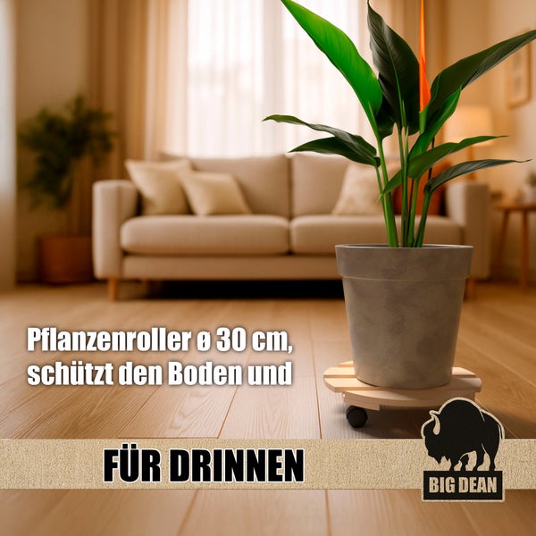 Pflanzenroller mit Pflanze in einem Wohnzimmer