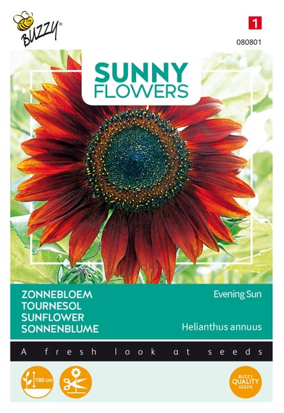 Sonnenblumenkernpackung Sunny Flowers Evening Sun
