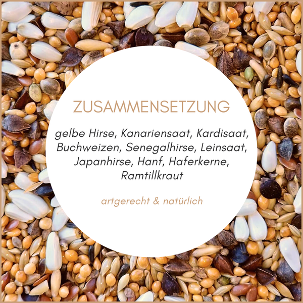 Zusammensetzung von Vogelfutter mit gelber Hirse, Kanariensaat, Kardisaat, Buchweizen, Senegalhirse, Leinsaat, Japanhirse, Hanf, Haferkerne und Ramtillkraut