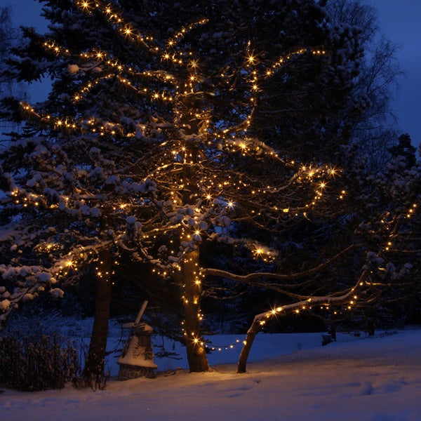 Winterlandschaft mit Bäumen und Lichterkette im Aussenbereich