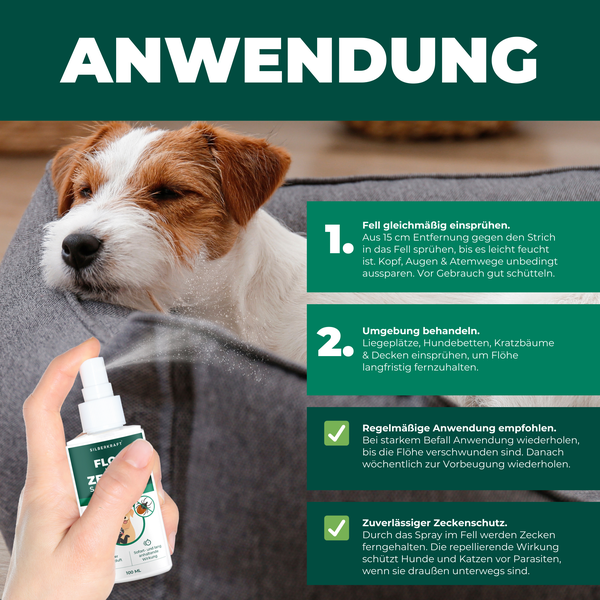 Silberkraft Floh- und Zeckenspray 100ml ml für Hund, Katze & andere Haustiere, ideales Anti-Zecken Mittel, hilft gegen Flöhe, Zecken, Parasiten & Ungeziefer, Made in Germany