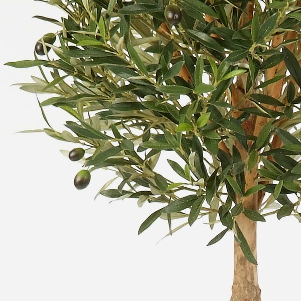 Künstlicher Olivenbaum in Kugelform mit echtem Holzstamm und Oliven im schwarzen Kunststofftopf.