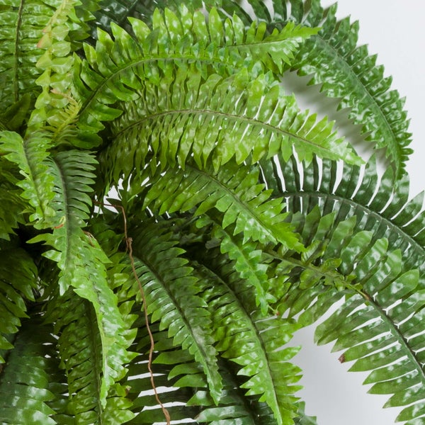 Künstlicher Farn mit grünen Wedeln aus Kunststoff.