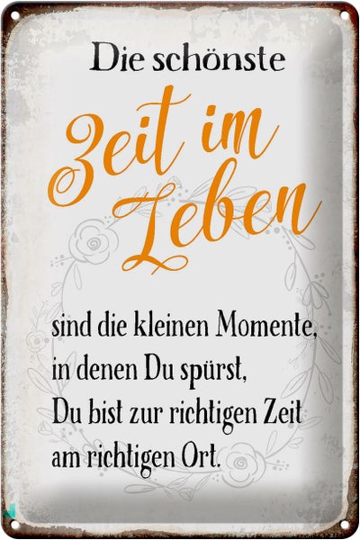 Blechschild Spruch 20x30cm die schönste Zeit im Leben sind
