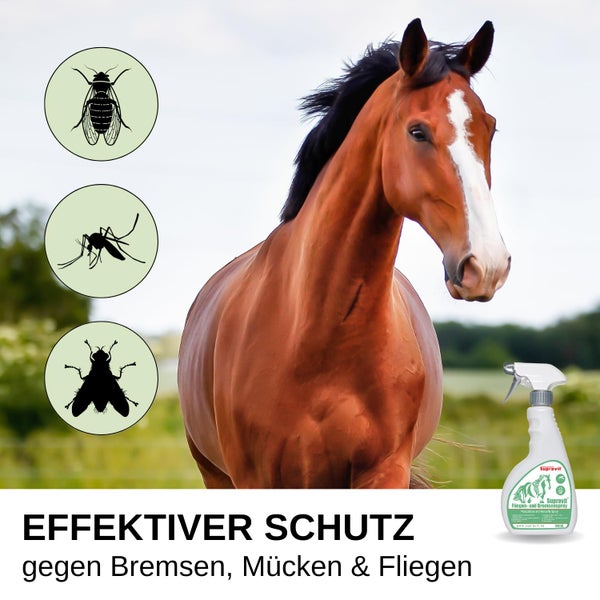 Braunes Pferd mit Supravit Insektenspray zum Schutz gegen Bremsen, Mücken und Fliegen.