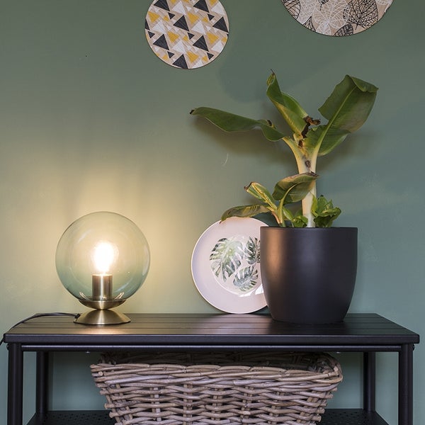 Dekorative Szene mit Tischleuchte, Pflanze im Topf, Zierplatten und einem Korb auf einem Regal