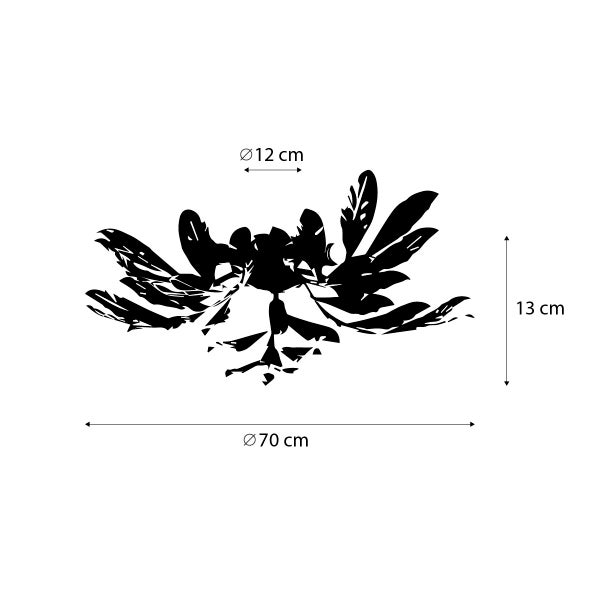 Illustration einer Zimmerpflanze mit den Maßen 12 cm Durchmesser, 13 cm Höhe und 70 cm Länge