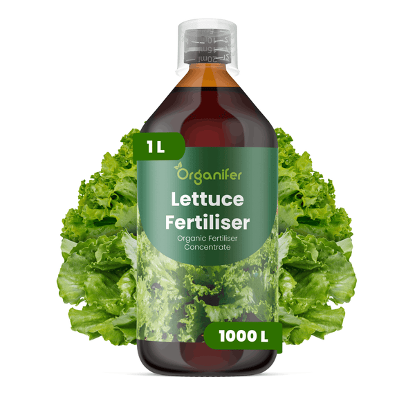 Organifer Salatdünger, organisches Konzentrat, 1 Liter Flasche mit Messkappe und Abbildung von Salatblättern.