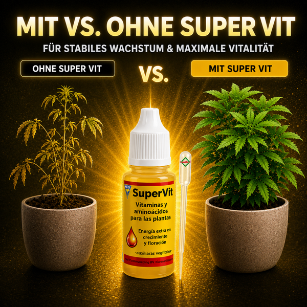 Vergleichsbild für Hesi Super Vit Pflanzendünger mit Vitaminen und Aminosäuren für stabiles Wachstum und Vitalität von Pflanzen.