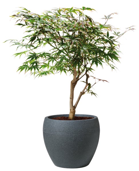 Scheurich Lineo 30, Pflanzgefäß/Blumentopf/Pflanzkübel, rund,  aus Kunststoff Farbe: Schwarz-Granit, 28,65 cm Durchmesser, 24,1 cm hoch, 11 l Vol.