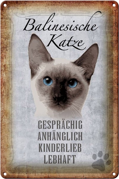 Blechschild Spruch 20x30cm balinesische Katze Schild