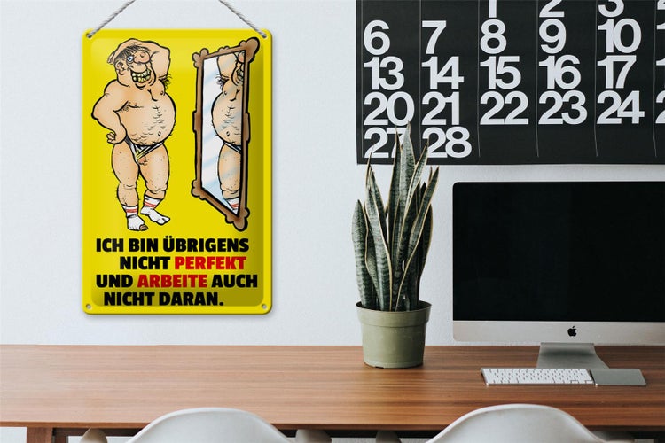 Blechschild Spruch 20x30cm Ich bin übrigens nicht perfekt