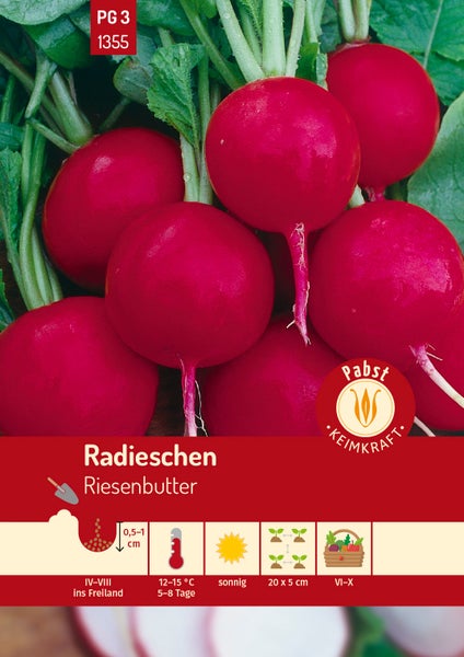 Samentüte für Radieschen Riesenbutter. Pabst Keimkraft Logo. Informationen zu Aussaatzeit April bis August und Keimtemperatur 12 bis 15 Grad Celsius.