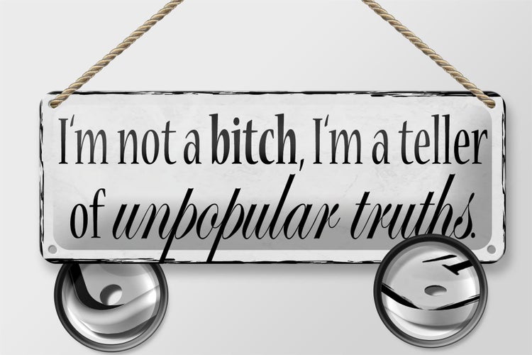 Blechschild Spruch 27x10cm i`m not a bitch i`m a teller of Dekoration