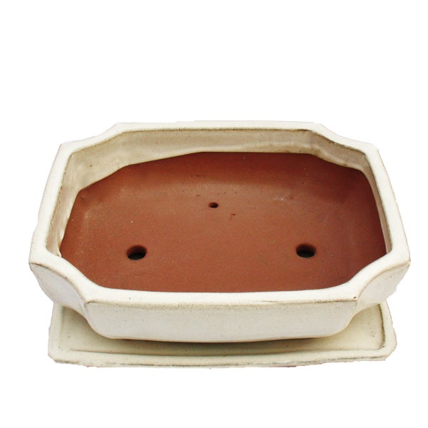 Bonsai-Schale mit Unterteller Gr. 5 - hellbeige - eckig - Modell G117 - L 31cm - B 24cm - H 9cm