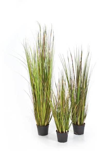 Künstliches Dekogras-Set bestehend aus drei Pflanzen in verschiedenen Höhen in schwarzen Kunststofftöpfen.